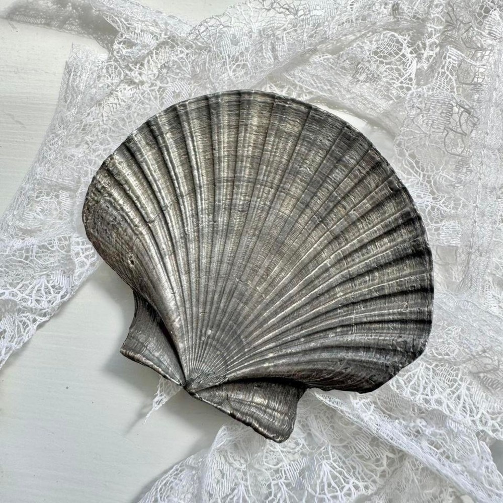 Vintage Silver Seashell Belt Buckle / Pendant Large ocean pendant mermaid large